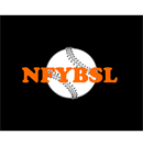 Newton Falls Youth Baseball Softball League